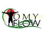 TomyFlow Diseño Web y Consultor SEO Logotipo de cookies
