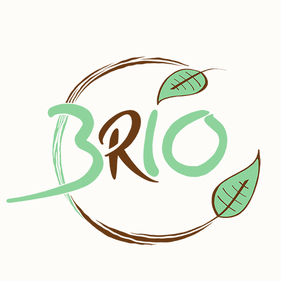 Diseño web y gráfico para restaurante ecológico vegano vegetariano en Tarifa Cádiz. TomyFlow diseñador web y consultor seo, director de proyectos de marketing digital.