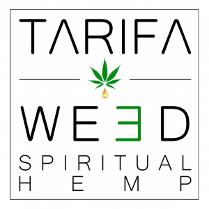 Diseño de logotipo e imagen de marca para Grow Shop y tienda online de CBD