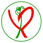 Proyecto de página web para farmacia y ortopedia técnica en Torredelcampo, Jaén.