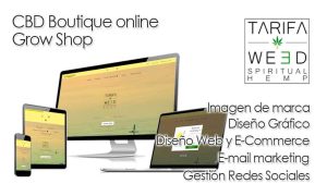 Cliente: Tienda online de CBD, Growshop Tarifa Weed en Tarifa, Cádiz. Diseño gráfico, diseño de logotipo y marca, e-mail marketing, camisetas, pegatinas, identidad corporativa. TomyFlow Estudio creativo digital
